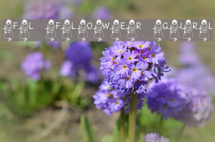 FL Flower Girl Example 2