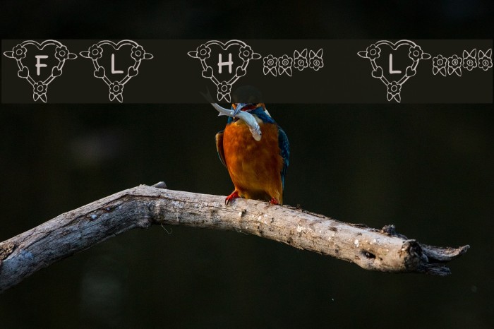 FL Heart Light Font examples
