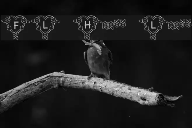 FL Heart Light フォント examples