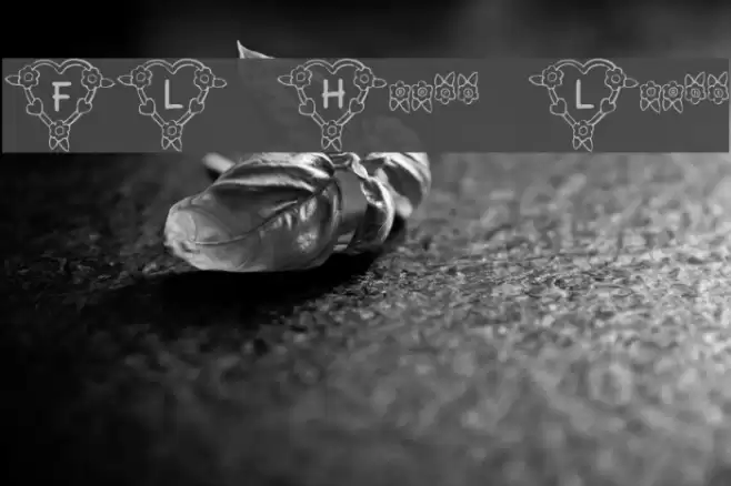 FL Heart Light フォント examples