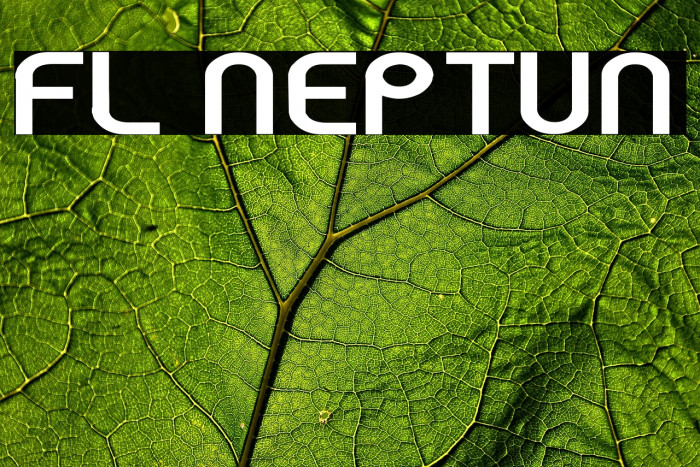 FL Neptun Example 1
