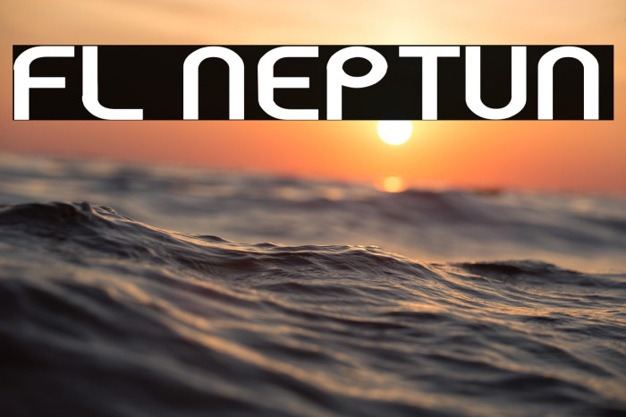 FL Neptun Example 2