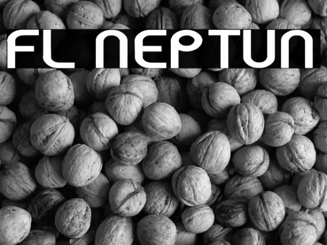 FL Neptun Font examples