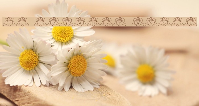 FL Scrappy Angel Font examples