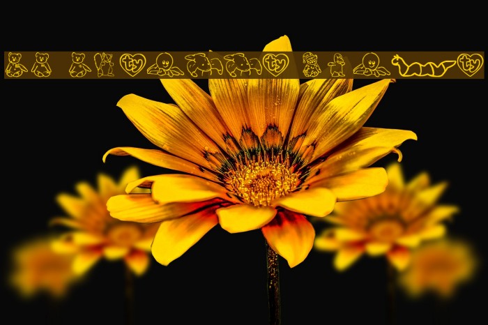 FL Scrappy Beans Example 1