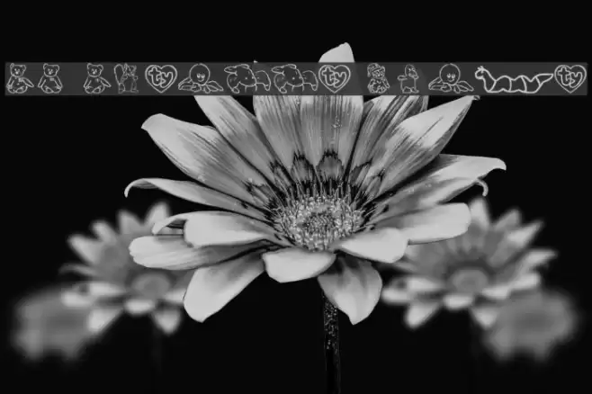 FL Scrappy Beans Font examples