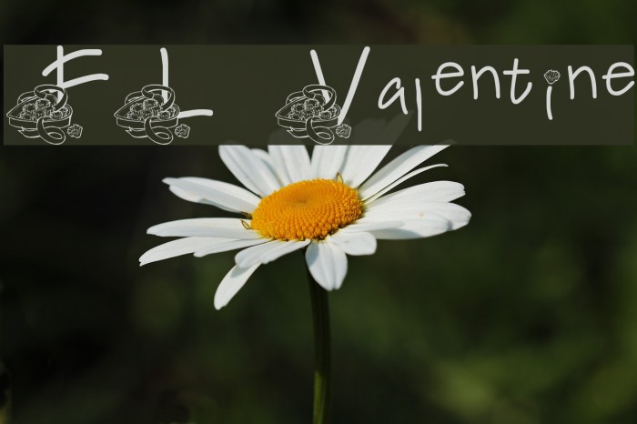 FL Valentine Example 1