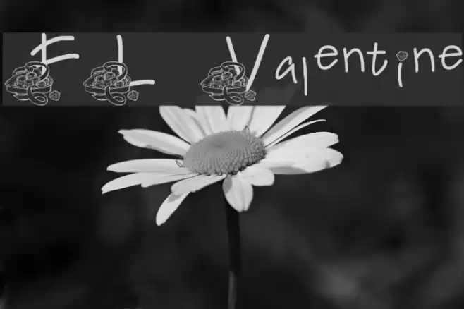 FL Valentine Font examples