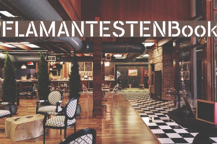 FLAMANTESTENBook Font examples