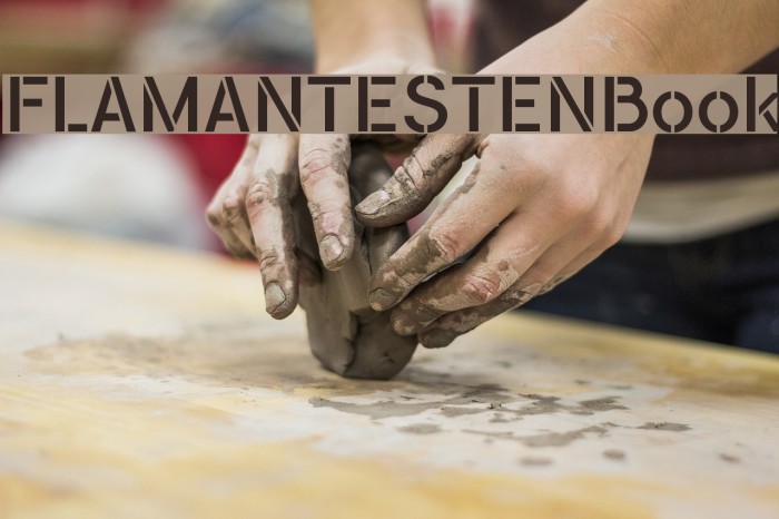 FLAMANTESTENBook Font examples