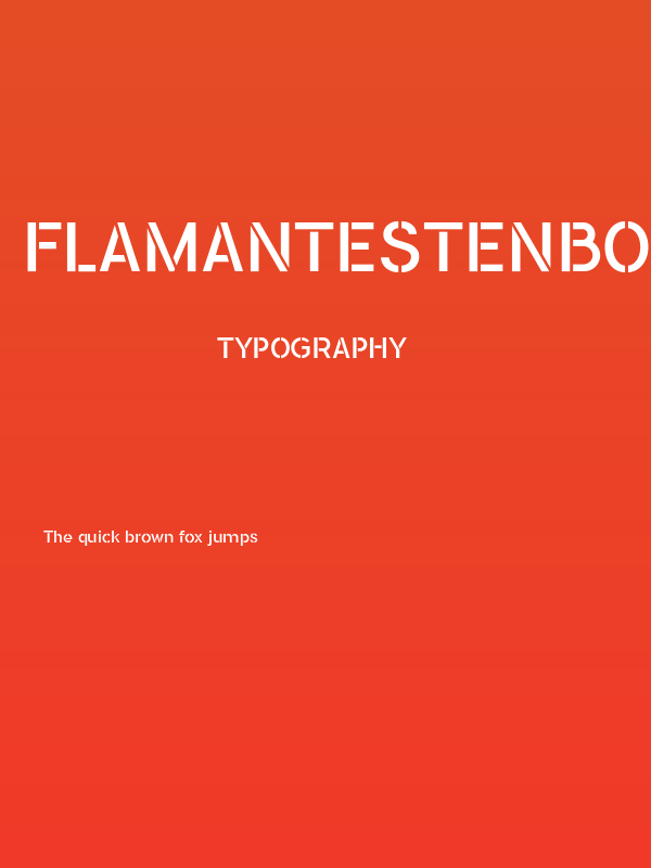 FLAMANTESTENBook Poster