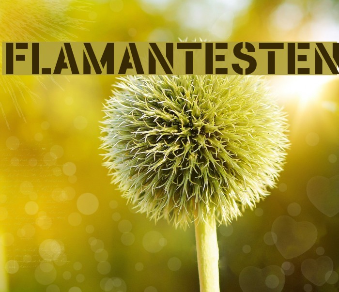 FLAMANTESTEN Font examples