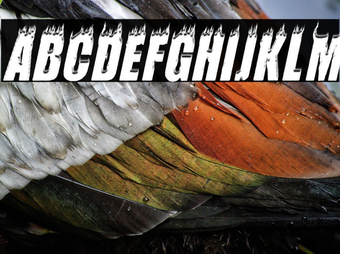 FLAMES ITALIC PERSONAL USE Bold Italic Example 3