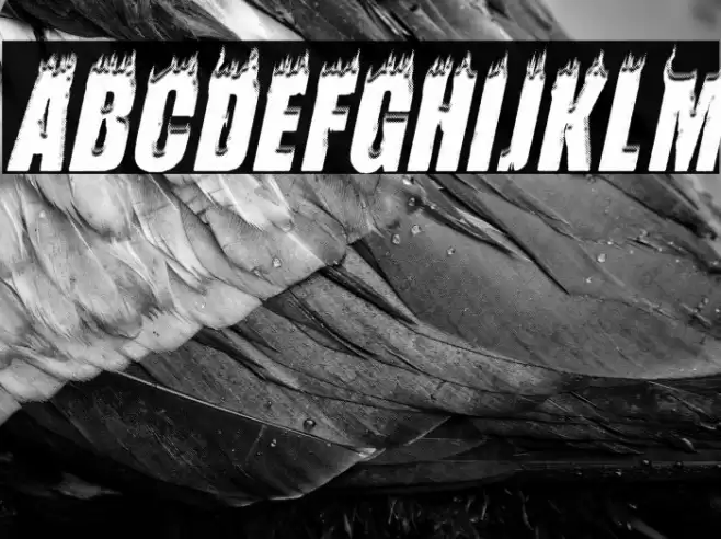 FLAMES ITALIC PERSONAL USE Bold Italic Font examples