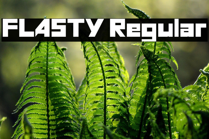 FLASTY Regular Example 1