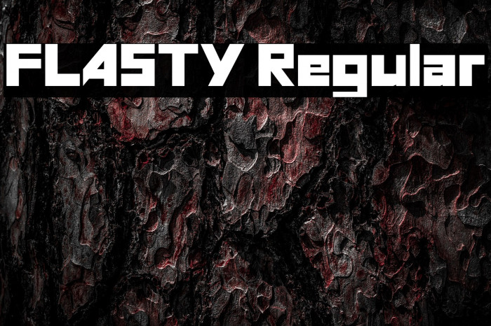 FLASTY Regular Example 2