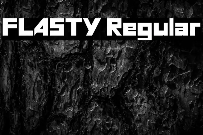 FLASTY Regular Fonte examples