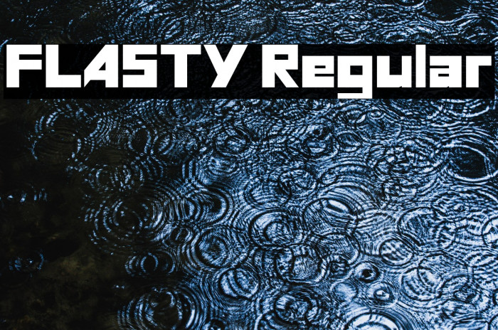 FLASTY Regular Example 3