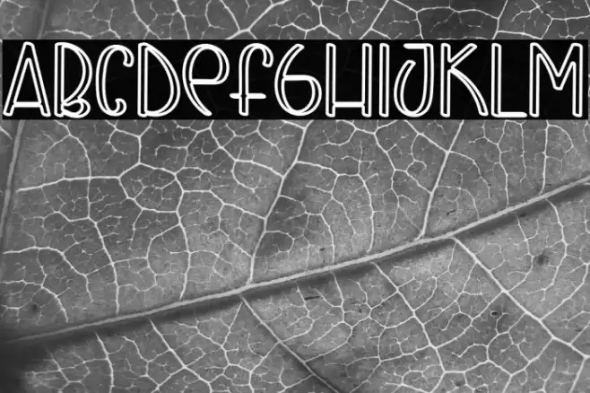 FLAYING HORSE Font examples