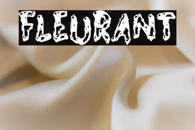 FLEURANT Example 1