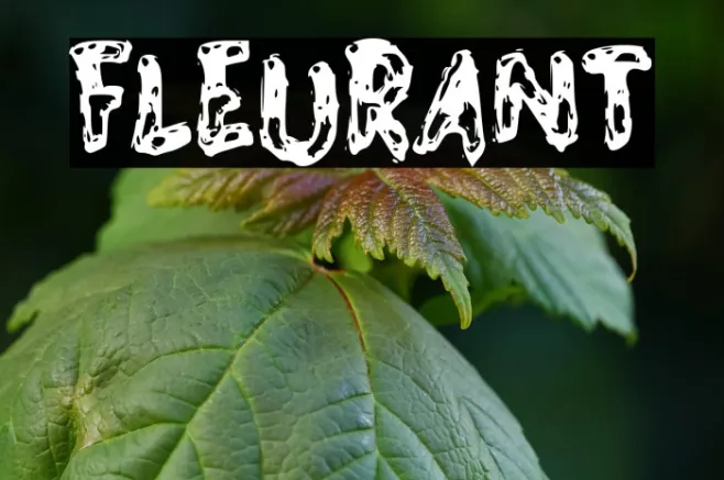 FLEURANT Example 2