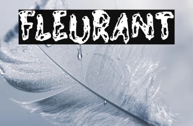FLEURANT Example 3