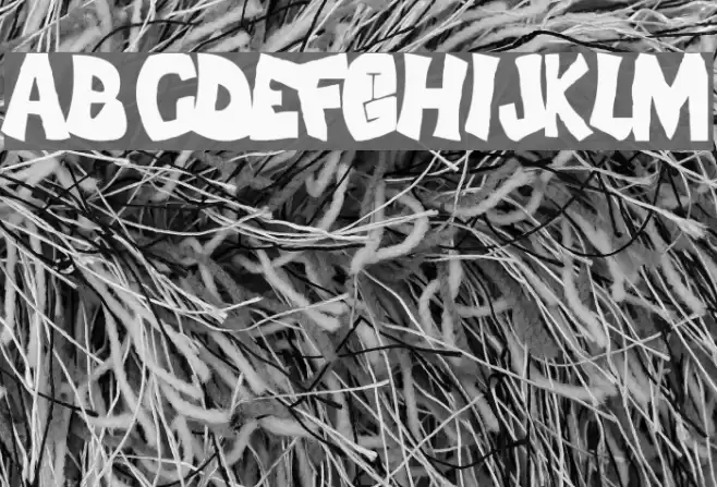 FLH-Font Caratteri examples