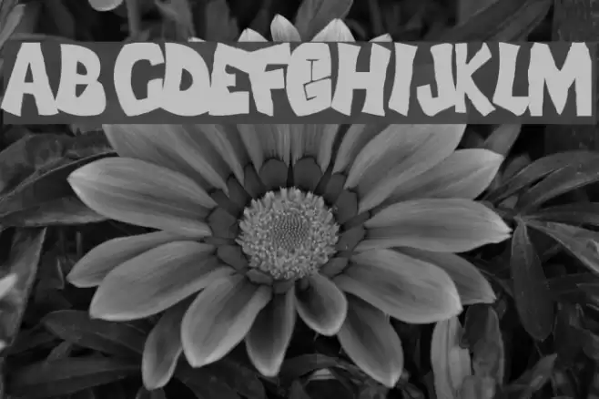FLH-Font Caratteri examples