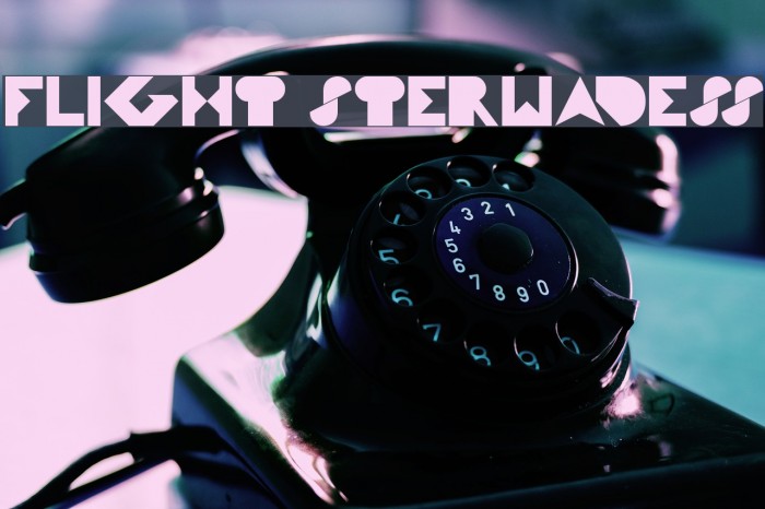 FLIGHT STERWADESS Font examples