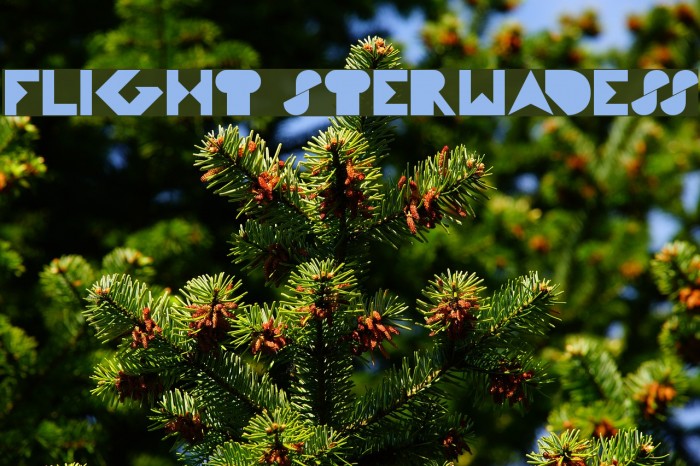 FLIGHT STERWADESS Font examples