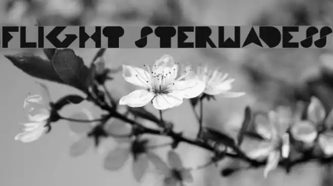 FLIGHT STERWADESS Font examples