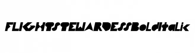 FLIGHT STEWARDESS Bold Italic 