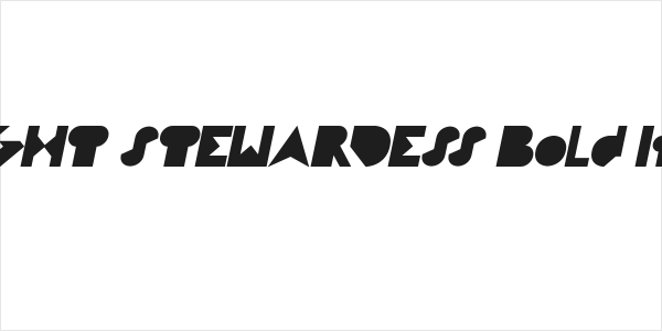 FLIGHT STEWARDESS Bold Italic Logo