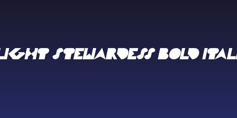 FLIGHT STEWARDESS Bold Italic Social Header