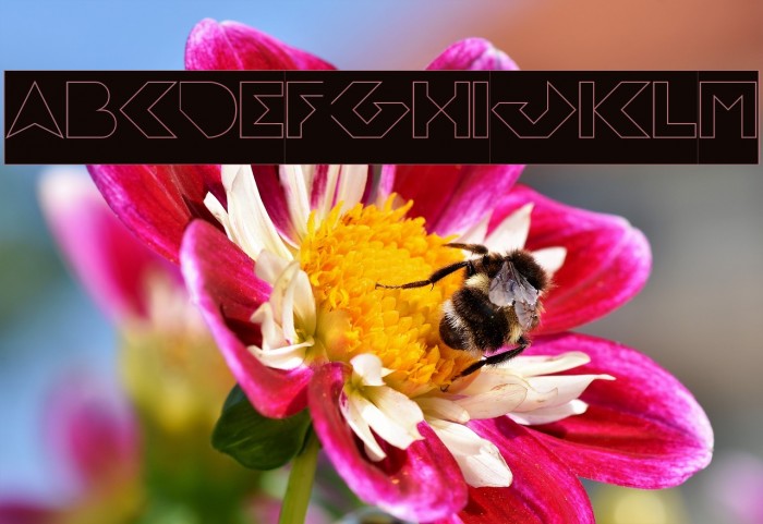 FLIGHT STEWARDESS-Hollow-Invers Example 3