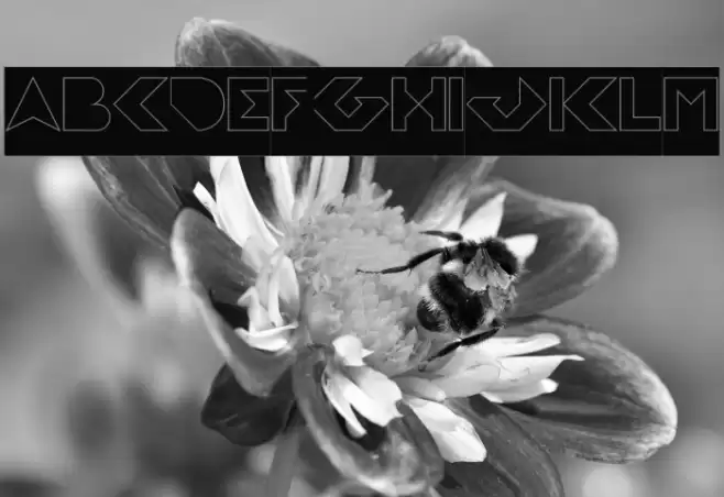 FLIGHT STEWARDESS-Hollow-Invers Font examples