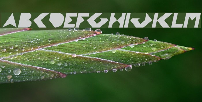 FLIGHT STEWARDESS Italic Example 3