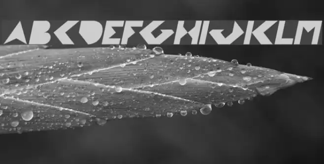 FLIGHT STEWARDESS Italic Font examples