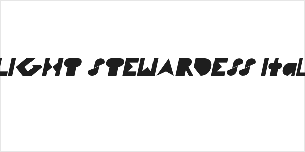 FLIGHT STEWARDESS Italic Logo
