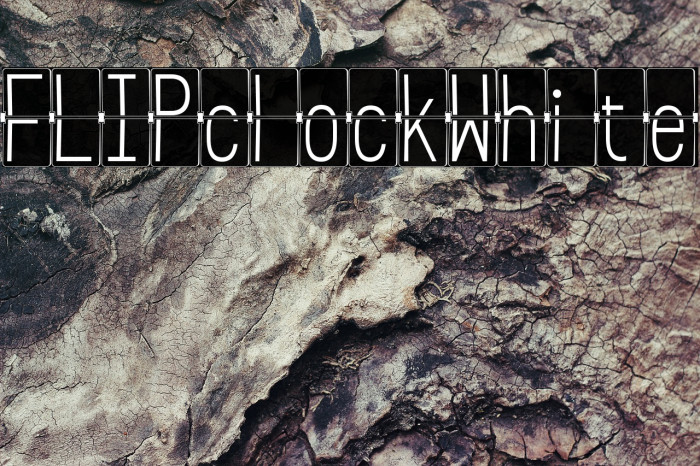 FLIPclockWhite Font examples