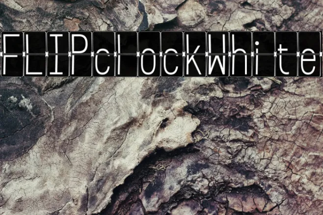 FLIPclockWhite Example 1