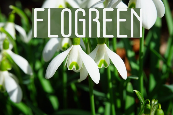 FLOGREEN Font examples