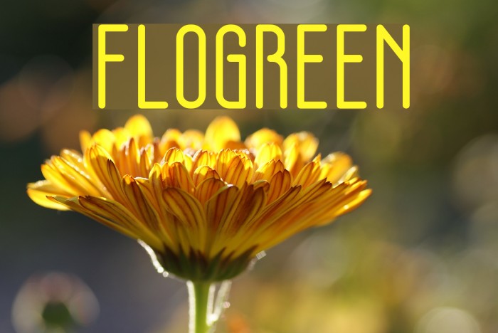 FLOGREEN Font examples