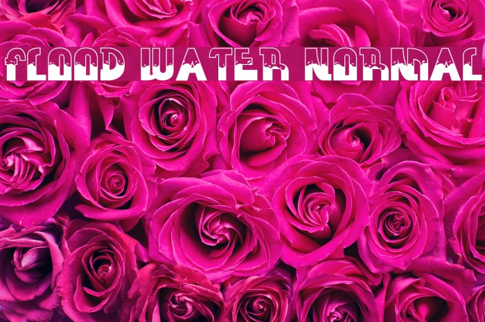 FLOOD WATER NORMAL Font examples