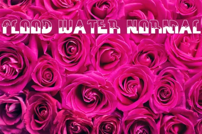 FLOOD WATER NORMAL Example 1
