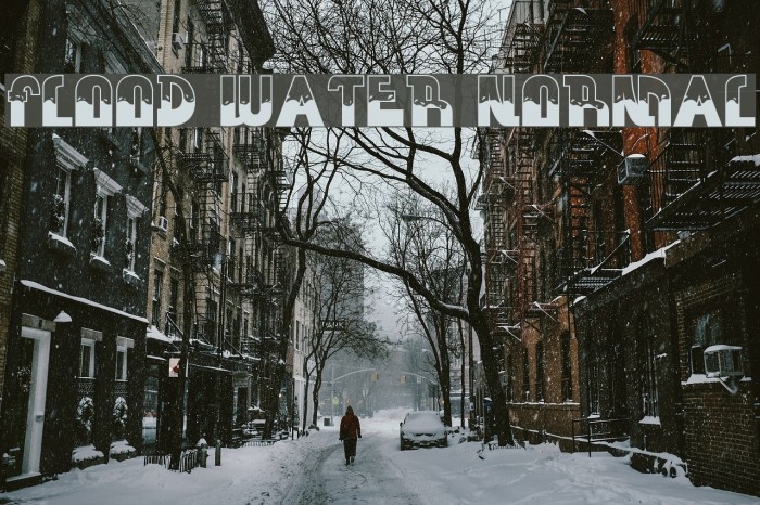 FLOOD WATER NORMAL Font examples