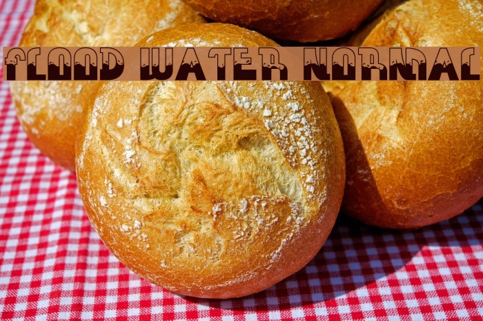 FLOOD WATER NORMAL Font examples