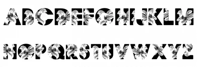 FLORALPERSONALUSE-Bold Fonte MAIÚSCULAS