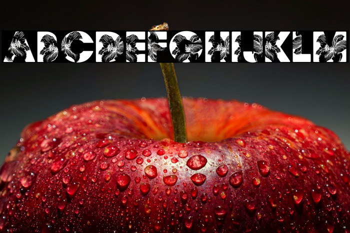 FLORALPERSONALUSE-Bold Example 1