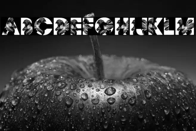 FLORALPERSONALUSE-Bold Font examples